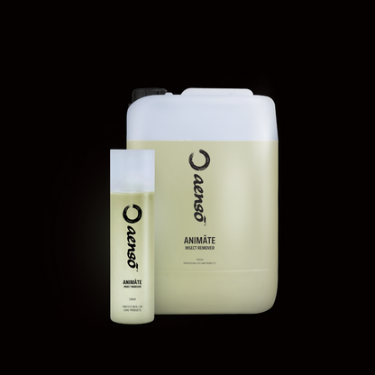 Bug and insect remover car care products